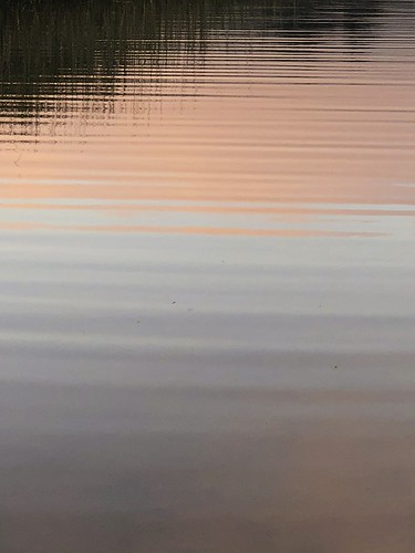 carmelriverlagoon sand beach sunrise water reflection nature camera