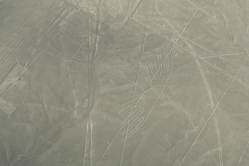 condor kondor ave bird vogel lineas de nazca nasca lines peru travel viajar tourism turismo aerial view window seat luftaufnahme picture photo 2018