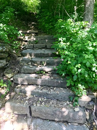 park stairs nature stone