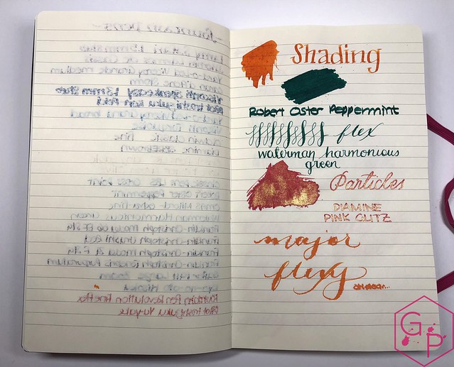 Stifflexible Notebooks from @CarolLuxury 19