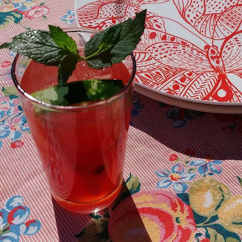 instagram fruit cocktail plates tablecloth drink