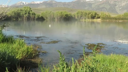 DeChambeau Ponds, Lee Vining, Mono County, CA