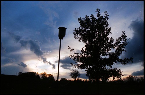 sunset sky tree silhouette clouds alabama birdhouse auburn nikonn80 kiesel intheset