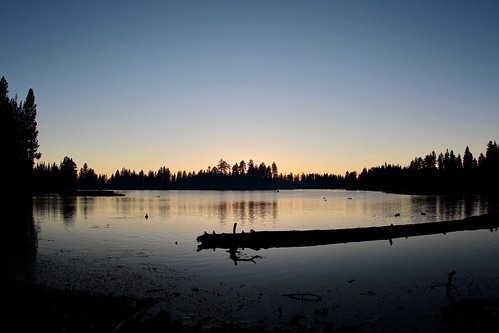 lake sunset dawn reflection log trees forest sky clear twilight