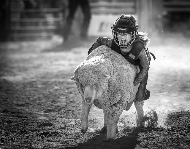024693763287-97-Cowgirl Mutton Busting at the Clark County Fair and Rodeo-3-Black and White