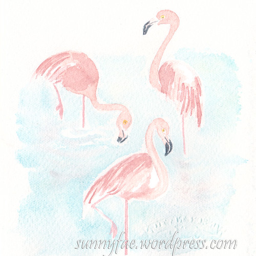 flamingo second attempt
