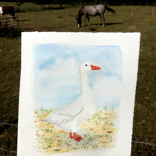 watercolour painting of a goose
