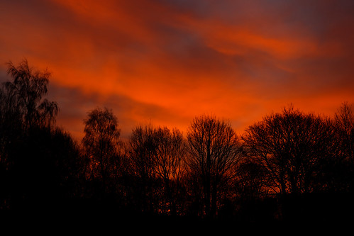 silhouette trees flames colour sunlight orange red sky morning sunrise dawn nature scunthorpe 2018 winter reflectivelight foxhills eos1dxmk2 ef2470f28llusm fullframe canon wood woodland humberside