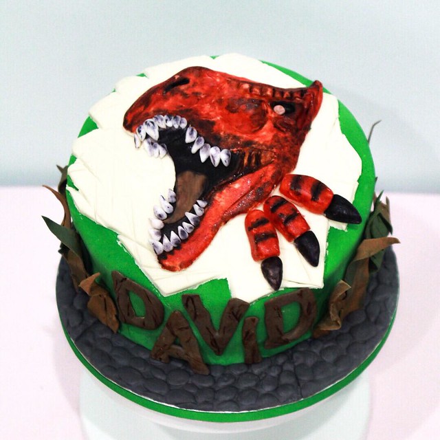Dinosaur Cake by Chubby Bubs SG