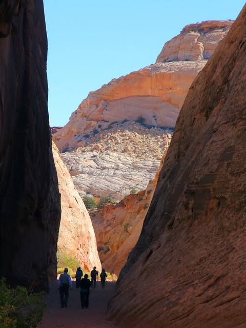 IMG_7715 Hikers on Capitol Gorge Trail, Capitol Reef National Park