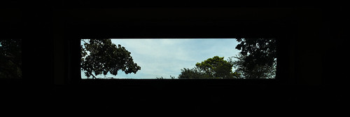panorama tree plants outdoors window view sky clouds zeiss15mmf28distagon zeiss distagon1528ze distagont2815 leicasl