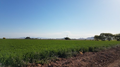 day sunny arizona arlington farming agriculture desert