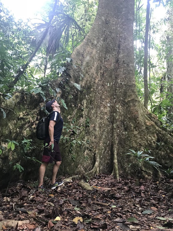 How I Regained My Power in Costa Rica’s Remote Corcovado National Park