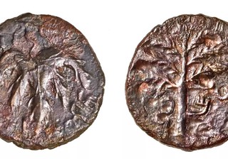 Jewish Bar Kokhba Revolt Coin