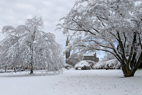 snow winter church landscape lawn garden serene peaceful tranquil postcard picturesque tree trees sky