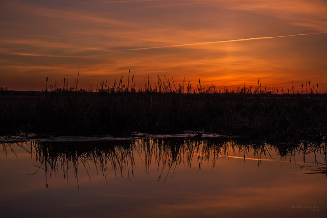Rostov. Sunset at the swamp.
