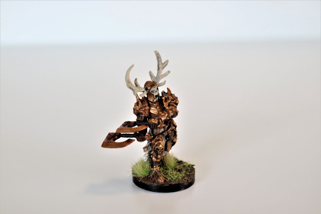 Runewars Miniatures Ardus Front (wife painted)