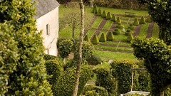 Jardin du prieuré de Vauboin - Photo of Chemillé-sur-Dême