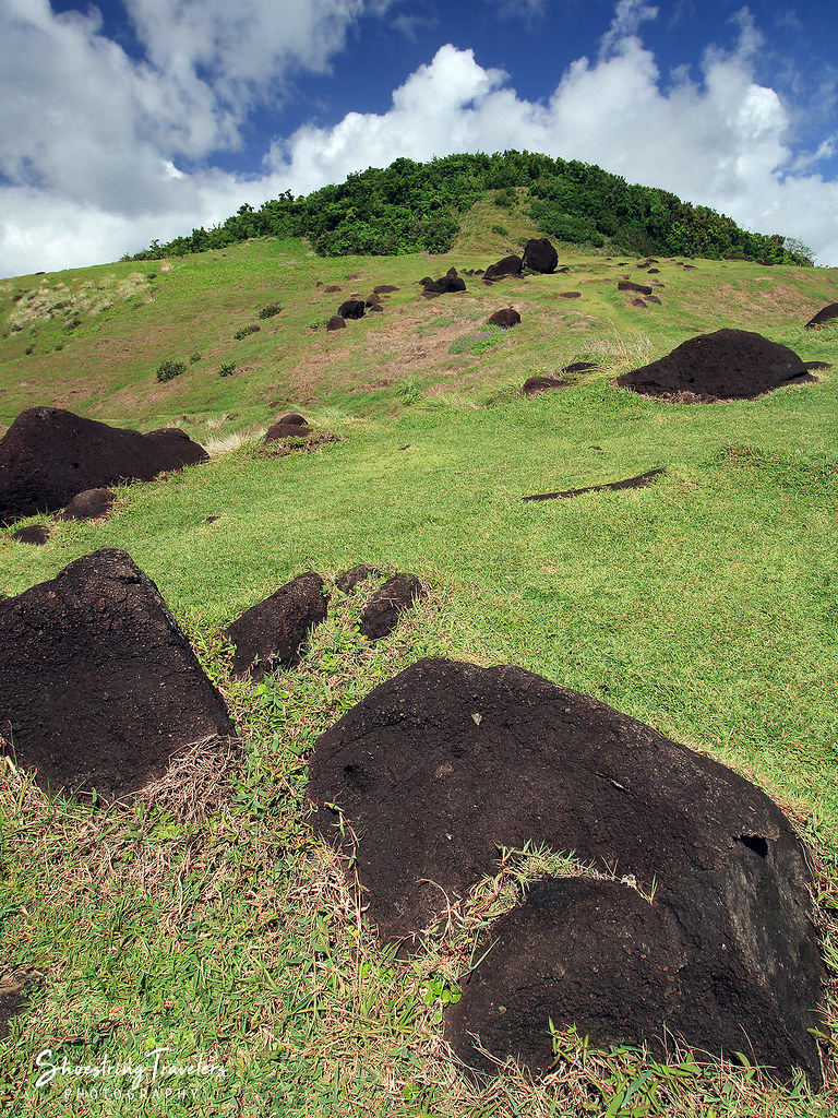 a few of the many boulders scattered about at Binurong Point