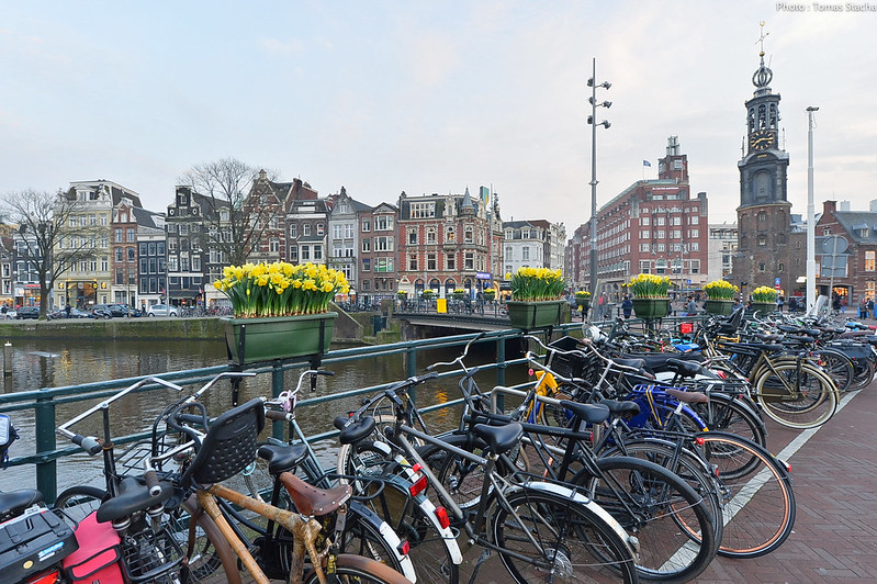 WPTDS Amsterdam Location