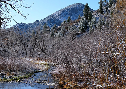 bearcreek colorado idledale usa sandraleidholdt hiking snow spring springtime creek openspace lairothebear tree landscape forest foothill