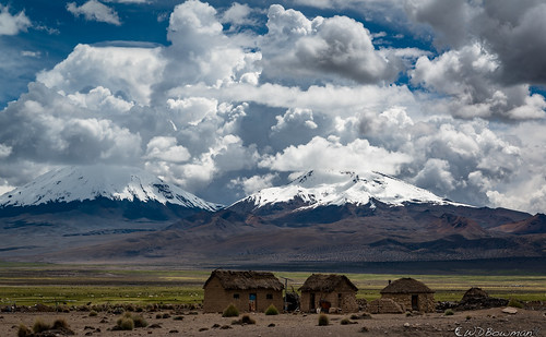 bolivia altiplano sajamanationalpark nevadosdepayachata pomarate parinacota volcanoes llamas cumulusclouds punagrassland