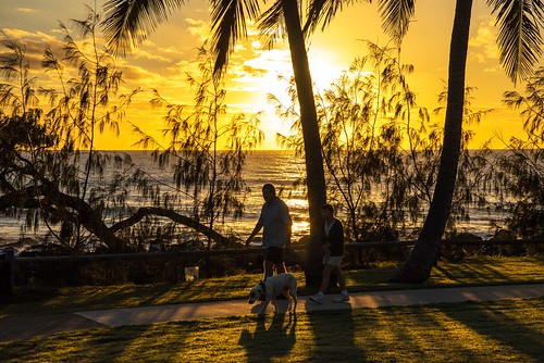 silhouette sunrise tropical walker