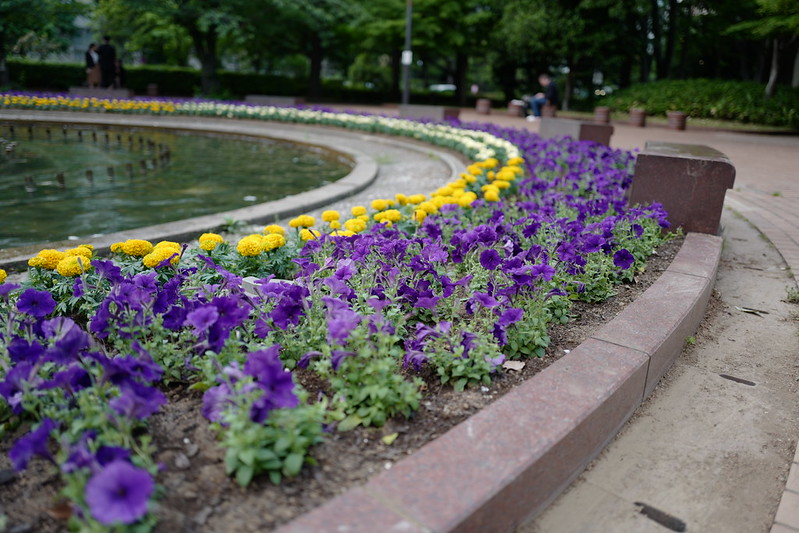Leica Q日比谷公園の花壇