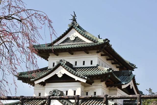 Cherry Blossoms in Hirosaki castle front side
