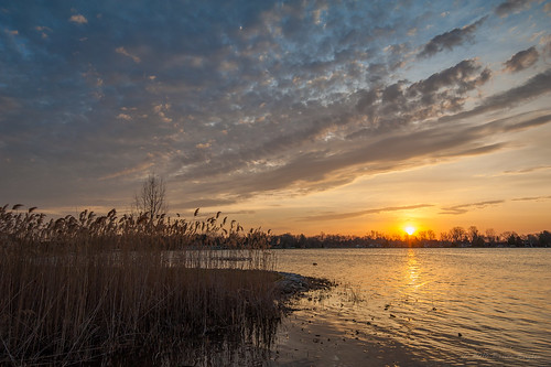 hanover michigan unitedstates us lakefarwell farwell water lake sunrise sun clouds sky reeds reflection nikond700
