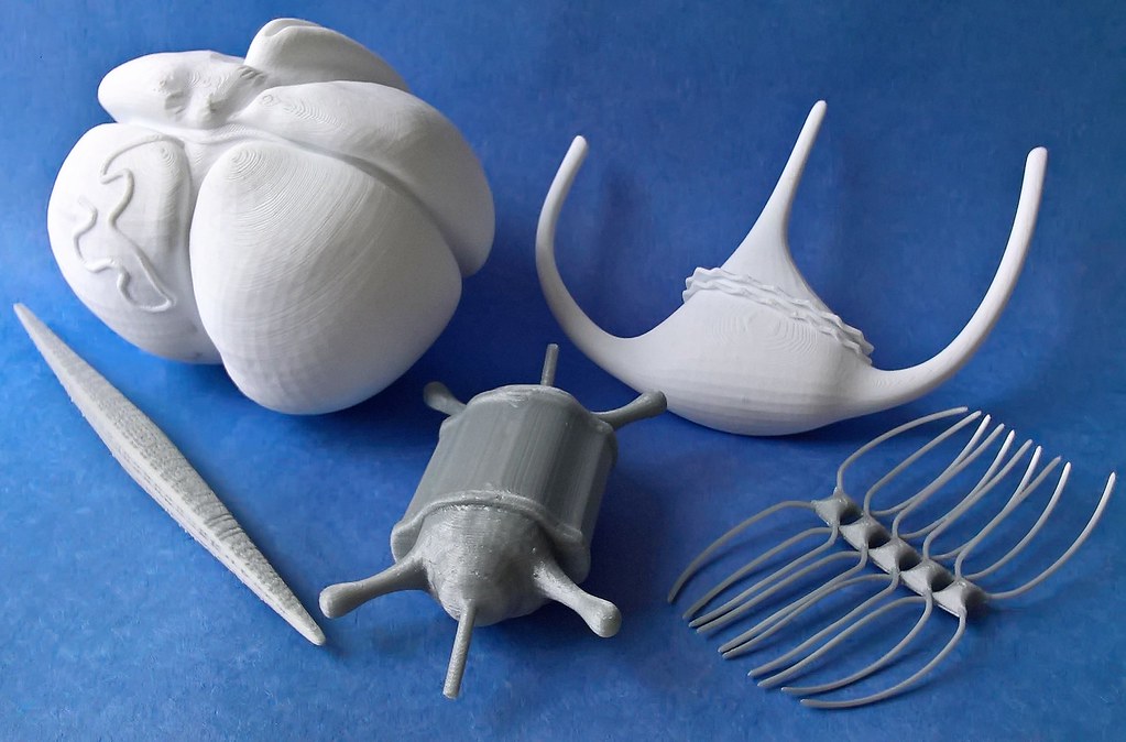 3D printed models of phytoplankton