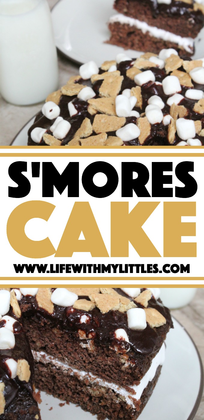 S'mores Cake: Moist chocolate cake, gooey, melty marshmallows, crumbled graham crackers, and a drizzle of chocolate. It's the perfect summer dessert!