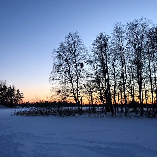 winter sunset vehoniemi saarikylät kangasala finland