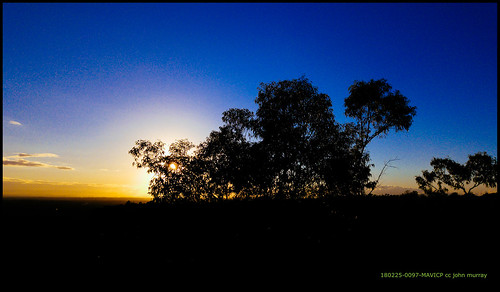 australia trees dawn sydney sunrise 2018 bluemountains glenbrook newsouthwales au