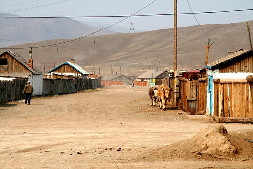 street wood travel cow village dirt mongolia badunara