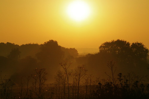 morning mist sunrise denmark dew dug danmark morgen tåge solopgang voetmann jespervoetmannmikkelsen 400d canon400d