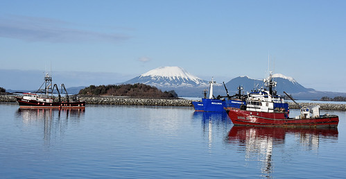 sitka humpbacks herringfishery alaska