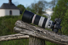SONY ⍺7III & Canon EF100~400/4.5~5.6L IS II on Metabones T IV seen by SONY ⍺6500 & Sigma 50mm ƒf/1.4 DG HSM | Art on Sigma MC-11