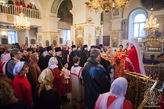 Покровский собор 320