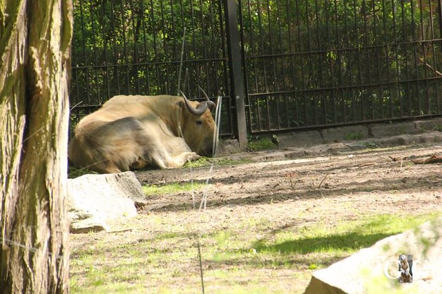 Besuch Zoo Und Tierpark 01.05.201845