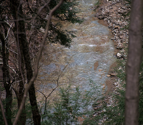 pinehillsnaturepreserve indiana creek woods