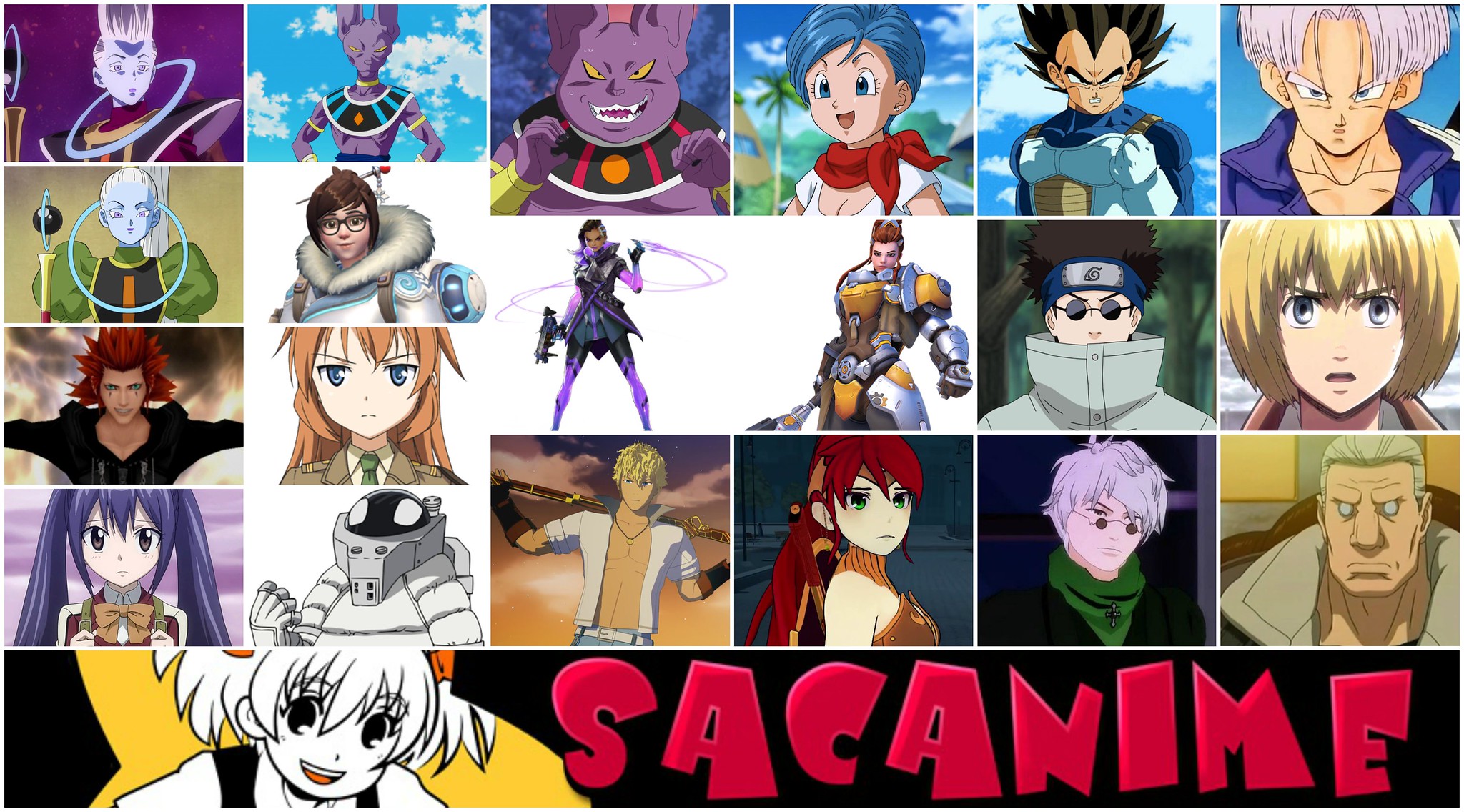 sac anime banner