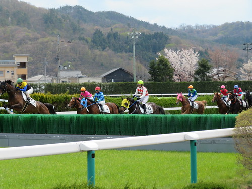 福島競馬場の障害を飛越する馬たち