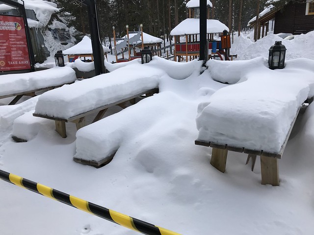 snow-covered benches