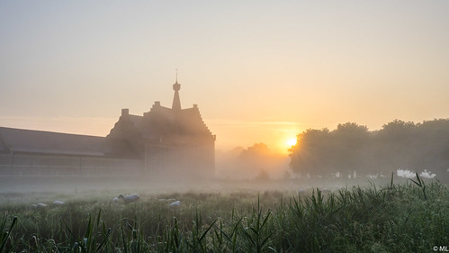 misty morning landscape abbey sunrise
