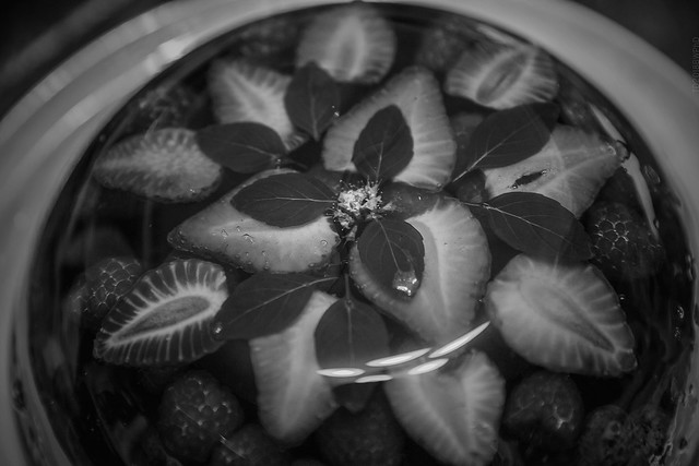 2018.04.09_099/365 - a handmade jelly with berries