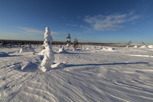 snow sky ice tree forrest hills winter lapland finland suomi saariselka landschaft landscape frozen canon canon5d eos wild wilderness scenic cold chill view arctic distagon1528ze carlzeiss