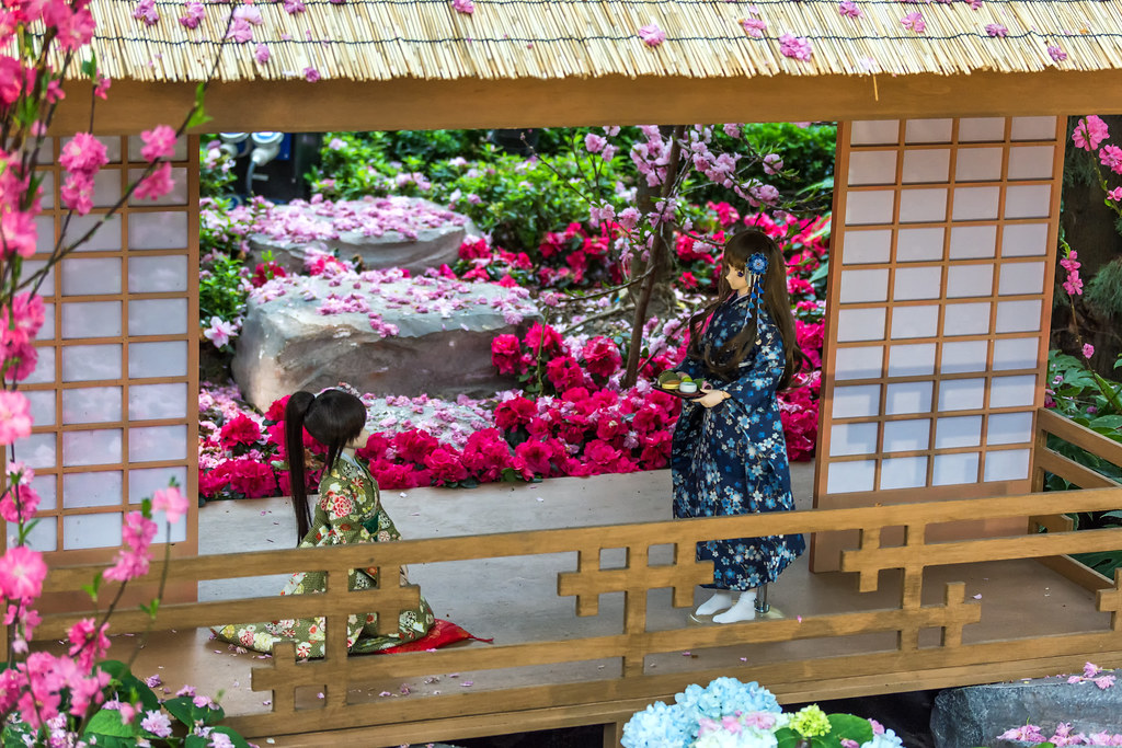 Последний день цветения сакуры. Flower Dome работает по расписанию. выставки, кимоно, каждый, очень, просто, самый, японские, Самый, украшением, японцами, веселый, Далеко, одевших, людей, человек, простым, множество, окончания, меньшим, Увидев