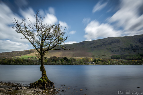 lonelytree tree clouds ullswater lake lakedistrict cumbria nationaltrust natural nature longexposure danielcoyle nikon nikond7100 d7100 uk england countryside water view mountains fells sky reflections