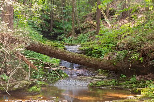 water creek 2018familyvacation waterfalls nature forkston pennsylvania unitedstates us